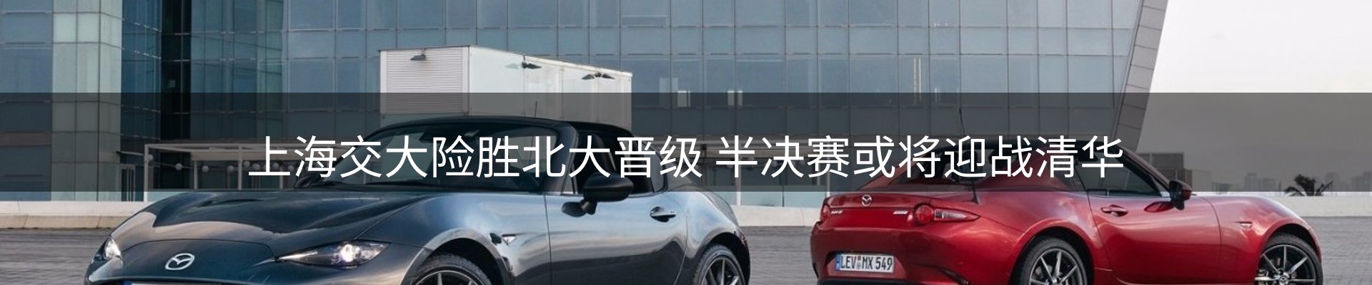 新闻动态