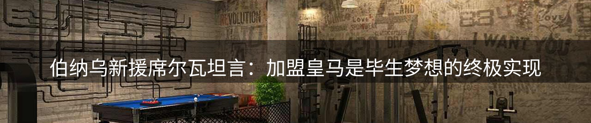 新闻动态