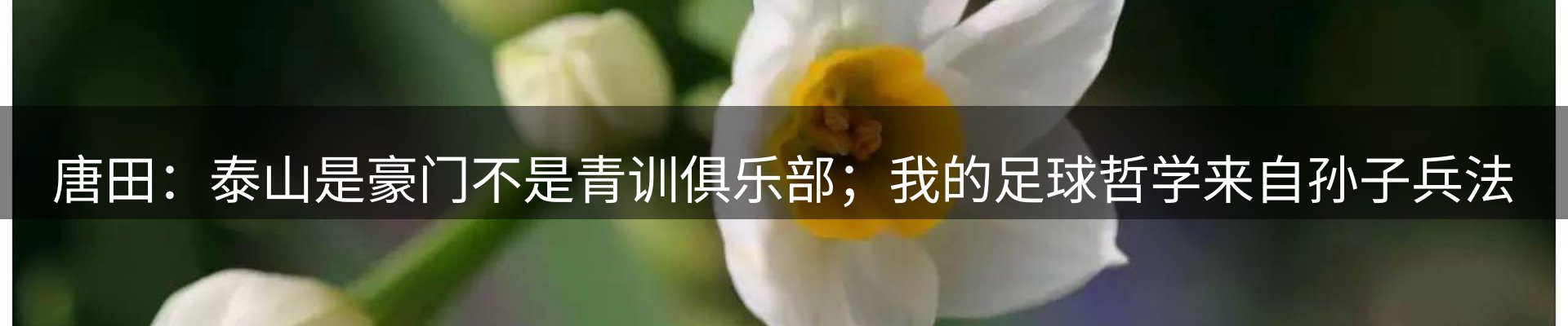 新闻动态