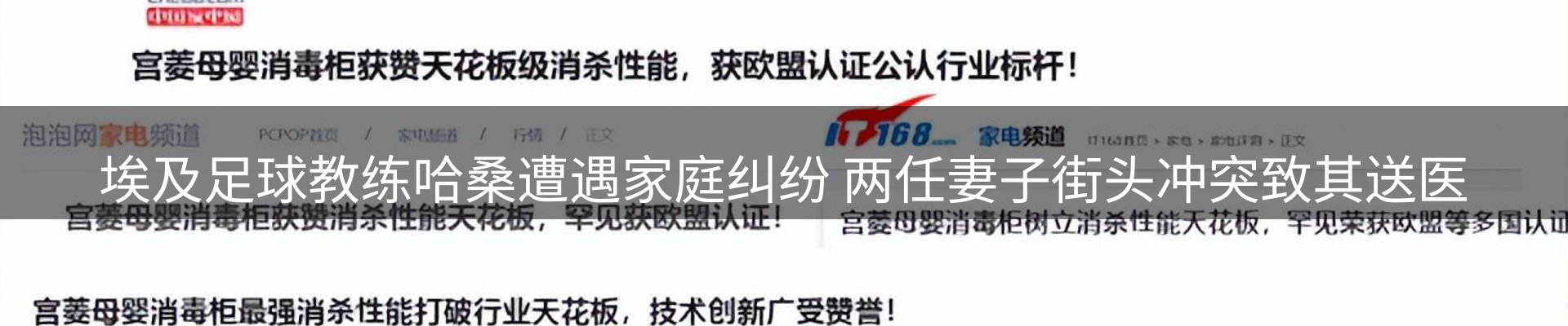 新闻动态