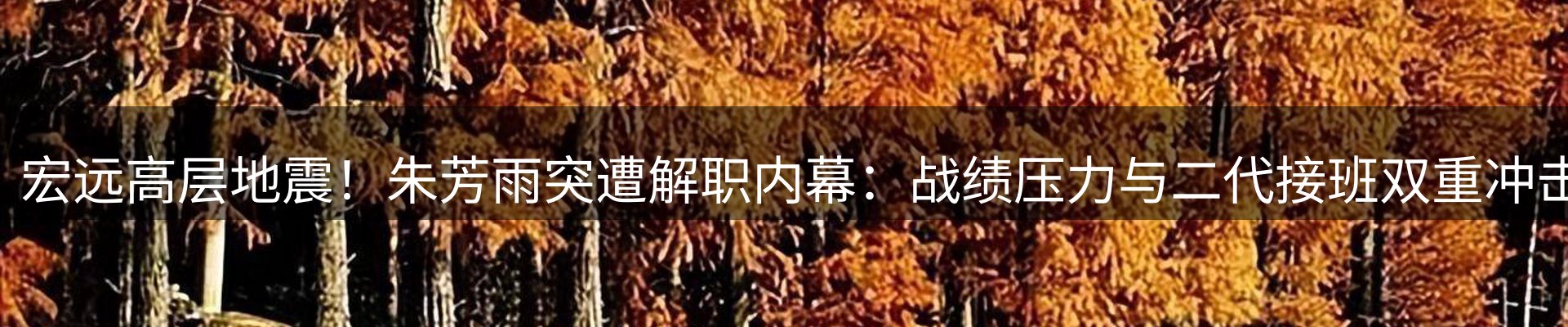 新闻动态