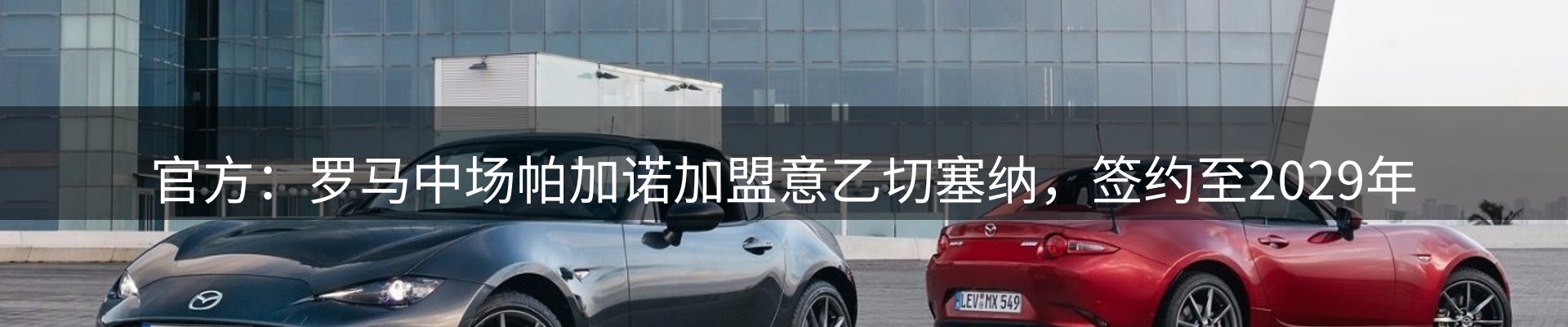 新闻动态