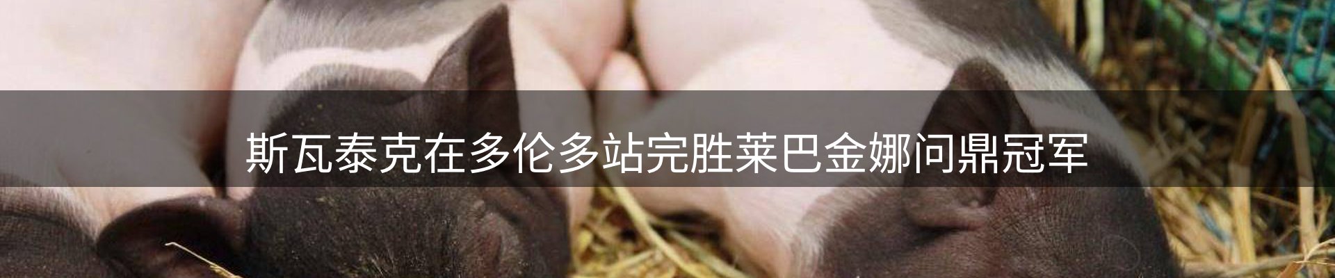 新闻动态