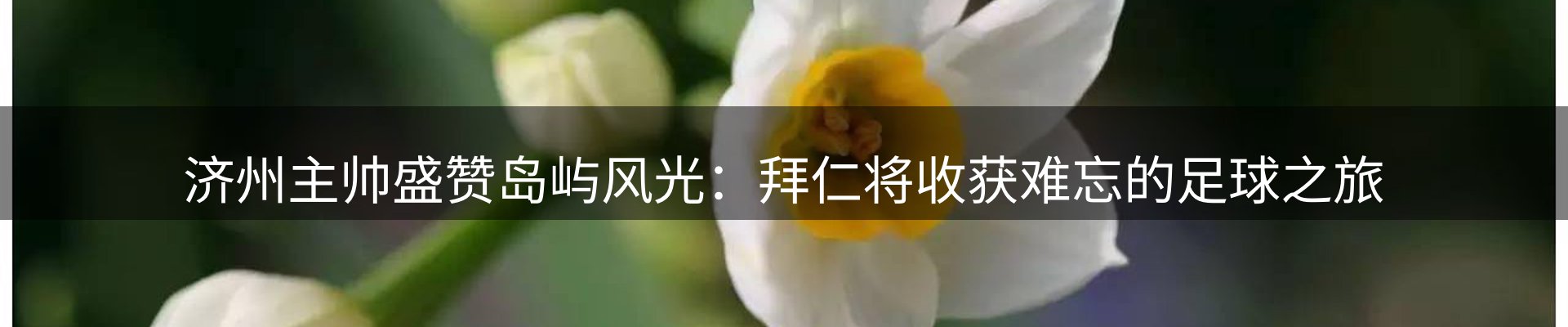 新闻动态