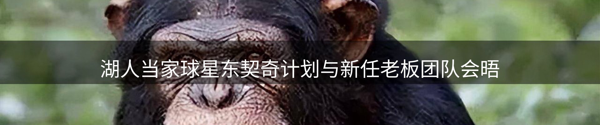 新闻动态