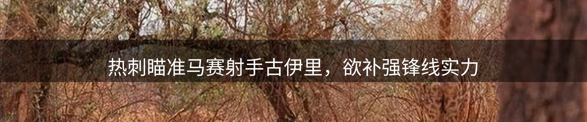 新闻动态