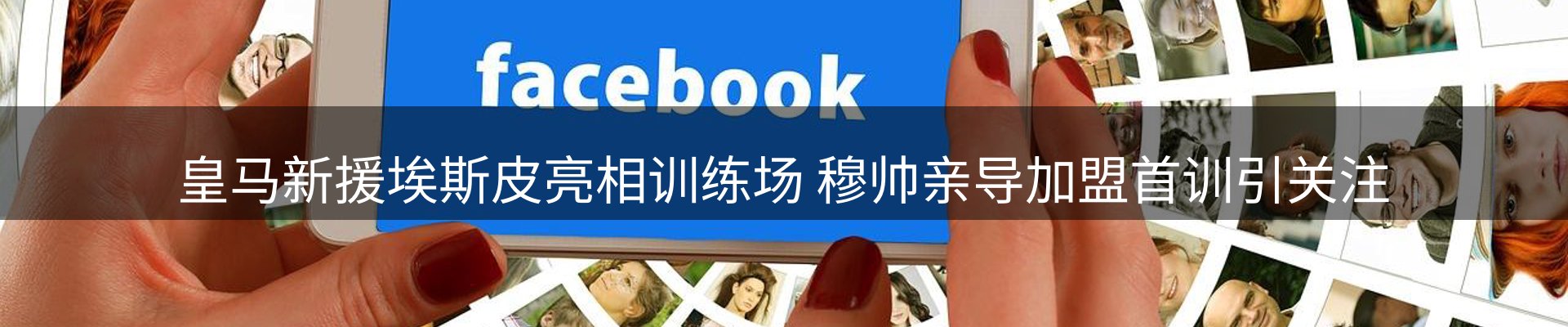 新闻动态