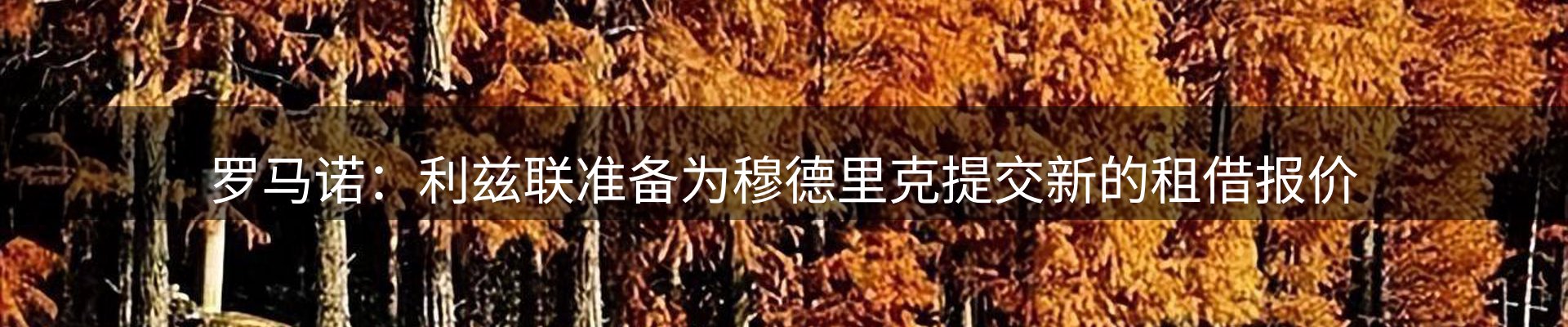新闻动态
