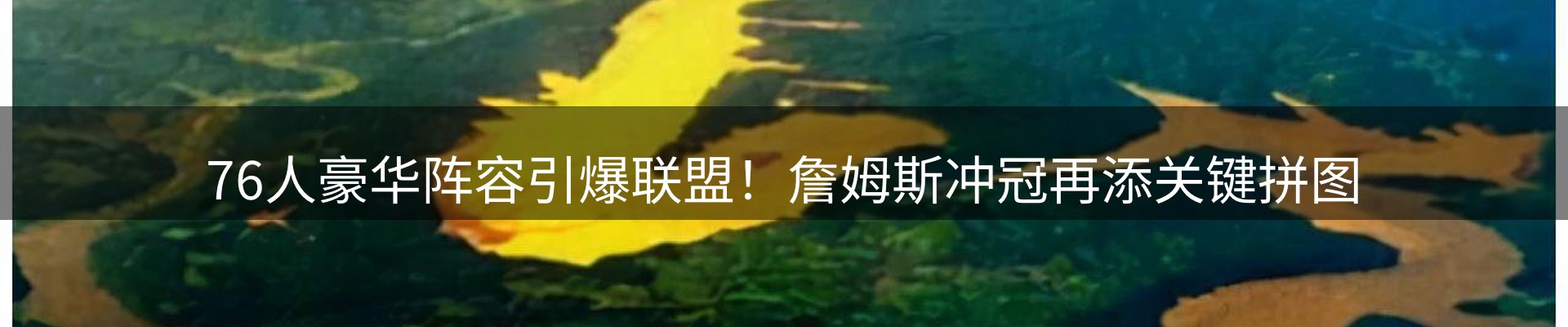 新闻动态