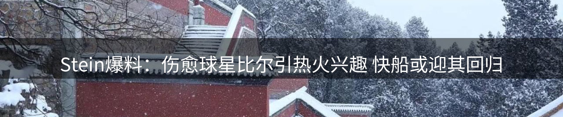 新闻动态